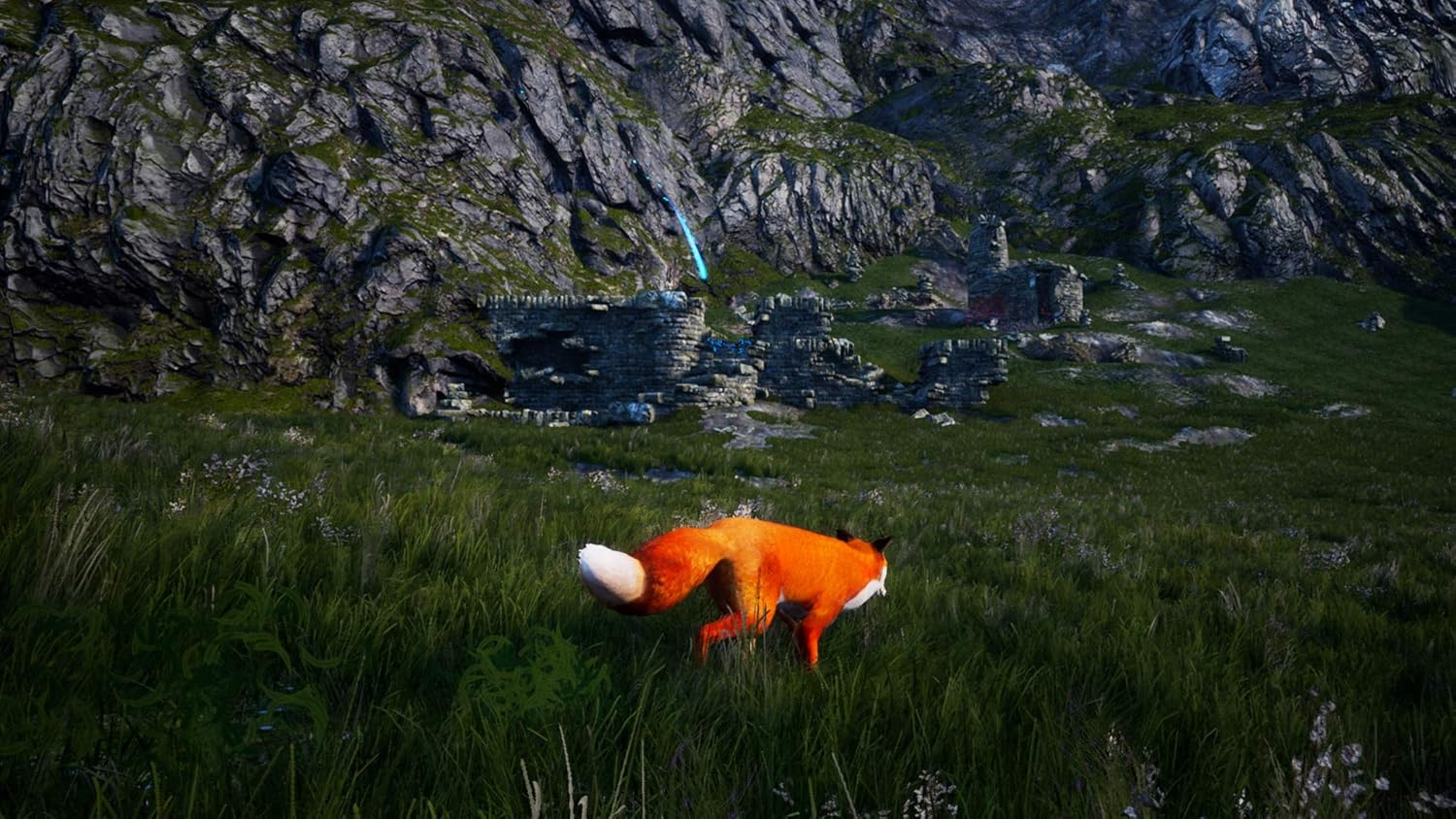 Spirit Of The North - Switch