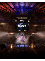 EA SPORTS UFC 6 - PlayStation 5